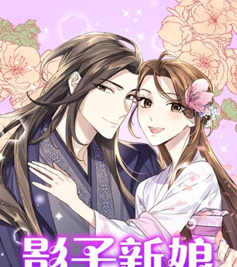 影子新娘封面
